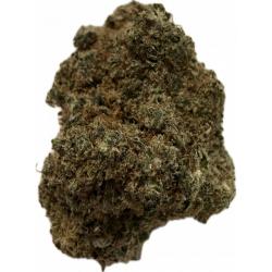 Sour Diesel Indoor
