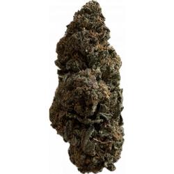 Cherry Glue GlassHouse